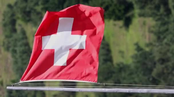 瑞士国旗 瑞士国旗在风中飘扬 — 图库视频影像