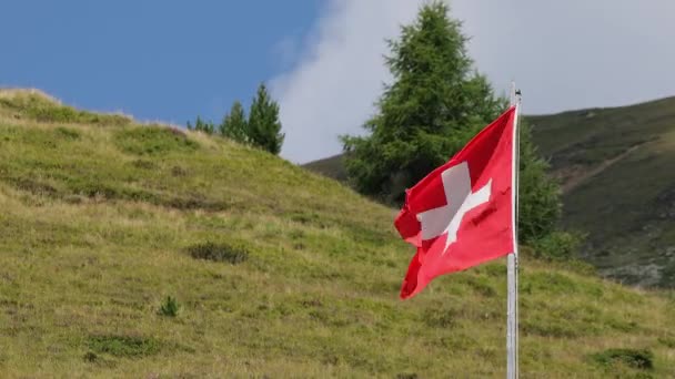 Vlag Van Zwitserland Wapperend Wind Voor Een Berglandschap — Stockvideo