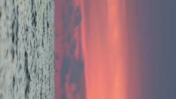 Bir Çift Merganser Gün Batımında Baltık Denizi Nden Geçiyor — Stok video
