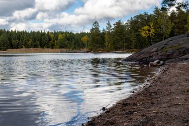 Sonbaharda Finlandiya 'da bir ormanda kumsal. Teijo Ulusal Parkı, Salo