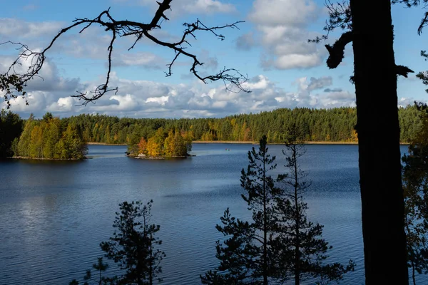 Sonbaharda Teijo Ulusal Parkı Ndan Finlandiya Uzanan Göl Manzarasında Planda — Stok fotoğraf