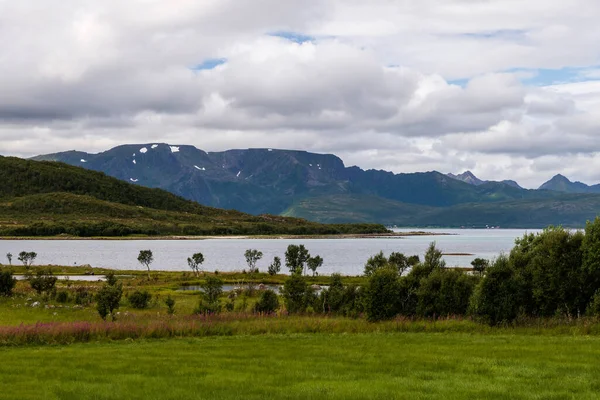 Северный Норвежский Пейзаж Зеленым Лугом Переднем Плане — стоковое фото
