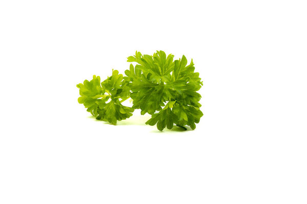 Fresh green parsley leaves isolated on white background
