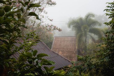 Tropikal dağlarda sisli, bungalovların çatıları olan puslu bir sabah. Pai, Kuzey Tayland.