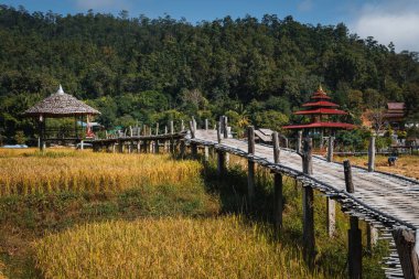 Kuzey Tayland, Pai 'deki pirinç tarlalarının üzerindeki Kho Ku So Bambu Köprüsü