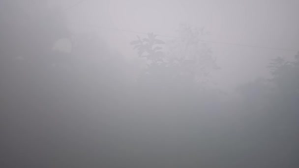 Een Wolkenbos Jungle Noord Thailand Zware Mist Panning Schot — Stockvideo