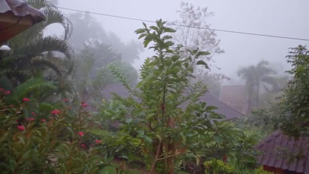 Bungalows Jungle Misty Morning Panning Shot Pai Northern Thailand — Vídeos de Stock