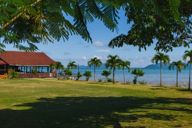 Green field of grass, palm trees and a building next to the sea in Ko Lanta, Krabi, Thailand