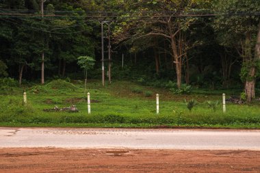 Empty countryside road, side view on the island of Ko Lanta in Krabi, Thailand