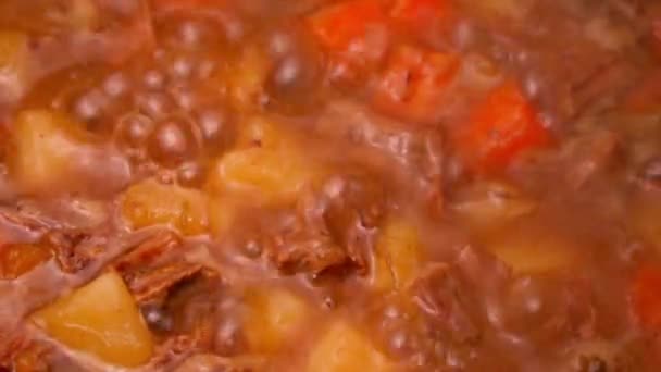 传统的芬兰肉汤与土豆 胡萝卜和牛肉一起煮 靠近点 — 图库视频影像