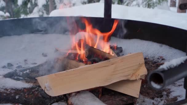 Brinner Lägereld Vintern Repovesi Nationalpark Finland — Stockvideo