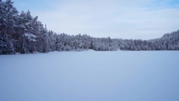 Fryst Sjölandskap Vintern Panorering Skott Repovesi National Park Kouvola Finland — Stockvideo