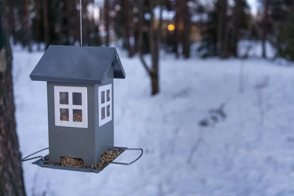 Alimentador Aves Forma Casa Aire Libre Noche Invierno —  Fotos de Stock
