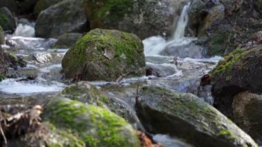 İlkbaharda kayalar ve yosunlarla küçük bir orman nehri.