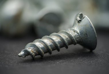 Makroda küçük vida. Yakın çekim, sığ DOF.