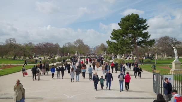 Tuileries Garden Paris Frankreich Frühling Menschen Die Auf Der Hauptstraße — Stockvideo