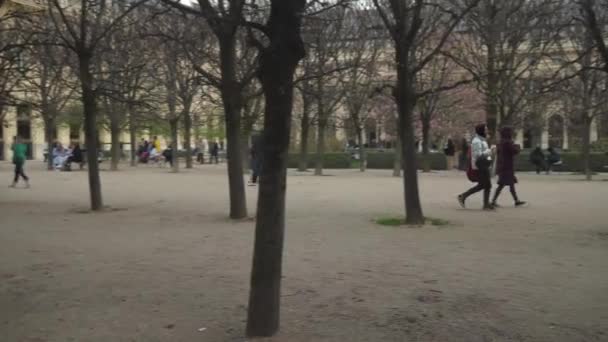 Palais Royal Garden Весной Панорамный Снимок Париж Франция Марта 2023 — стоковое видео