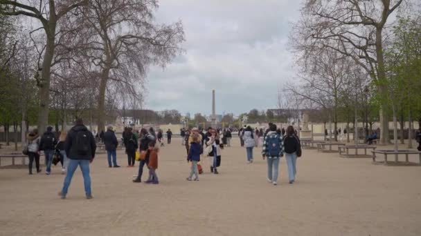 春にコンコルド広場近くのチュイルリー庭園のグランド アリー フランス 2023年3月25日 — ストック動画