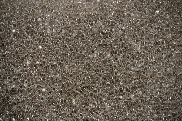 Σφουγγάρι Υφή Μακροεντολή Κοντινό Πλάνο — Φωτογραφία Αρχείου