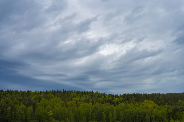 Cloudy Sky Forest Summer Lahti Finland — Stock Photo, Image