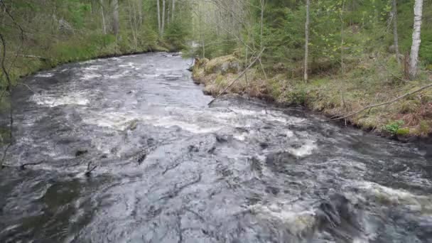 Leivonmki Ulusal Parkı Ndaki Rutajoki Nehri Joutsa Finlandiya — Stok video