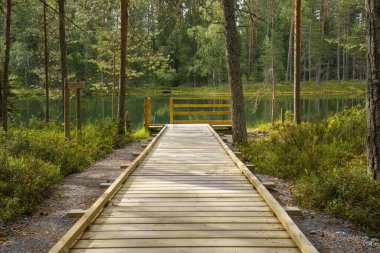 Finlandiya 'nın Evo Hiking bölgesinde bulunan gölete giden ahşap yol..