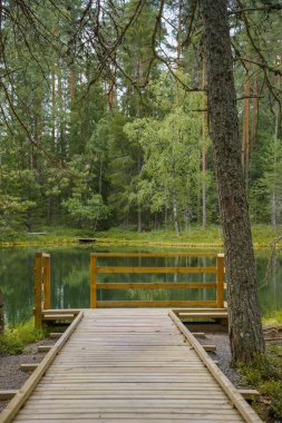 Finlandiya 'nın Evo Hiking bölgesinde bulunan gölete giden ahşap yol..