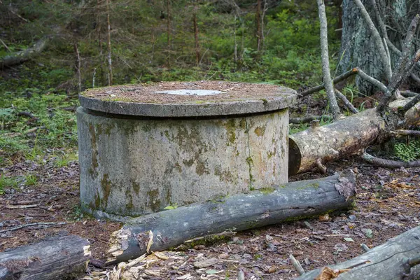 Old concrete well in the woods