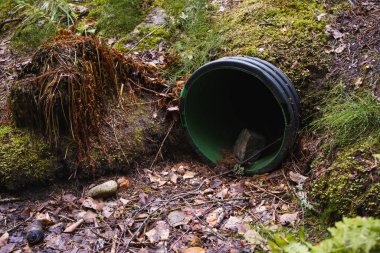 Kuru bir hendeğin yanındaki PVC drenaj borusunun sonu