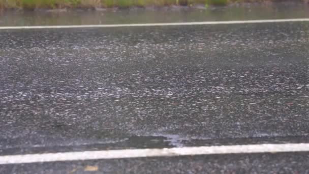 在潮湿的柏油路附近 有车辆驶过 — 图库视频影像