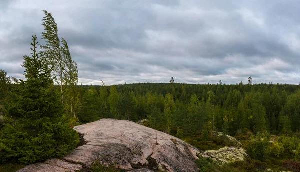 Paysage Depuis Sommet Une Colline Dans Réserve Naturelle Lapakisto Lahti — Photo