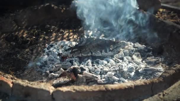 Rauchende Kohlen Der Feuerstelle Aus Nächster Nähe — Stockvideo