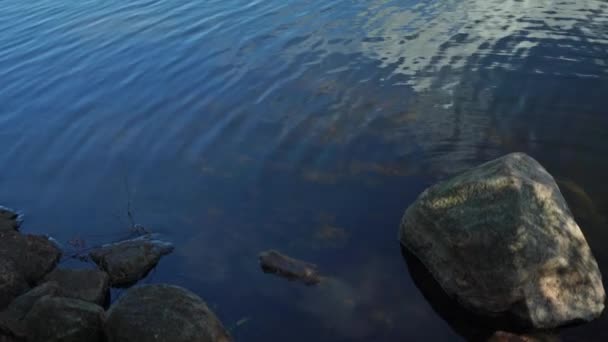 Zdjęcie Przechyłu Fińskiego Krajobrazu Jeziora Rezerwacie Przyrody Lapakisto Lahti Finlandia — Wideo stockowe