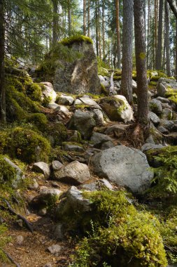 Güney Konnevesi Ulusal Parkı, Finlandiya 'da çok kayalık bir yürüyüş yolu..