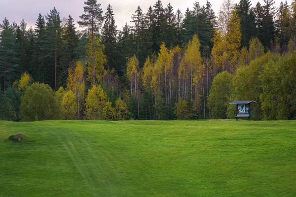 Sonbaharda boş golf sahasında yeşil çimenler ve sarı yapraklı ağaçlar..