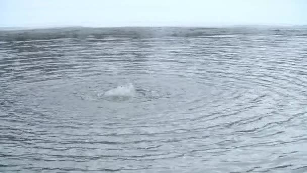 Buborékoló Vízben Hogy Megakadályozza Hogy Megfagyjon Finnországi Jégfürdőnél — Stock videók