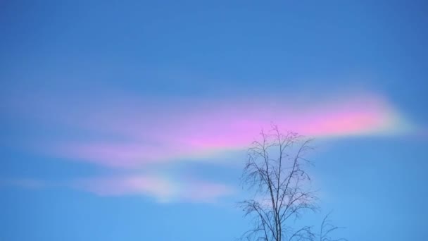 Nuvole Iridescenti Nuvole Arcobaleno Sera — Video Stock