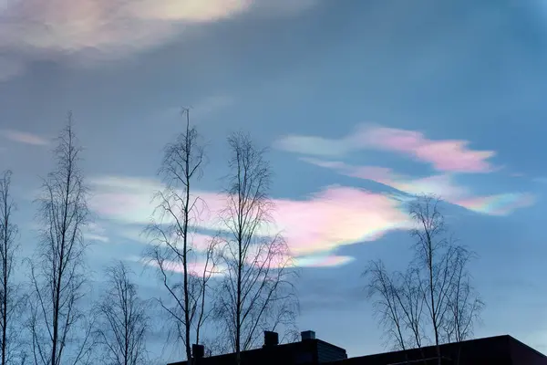 Iridescent clouds (Rainbow clouds) on the sky in the evening with tree and house silhouettes in the foreground.