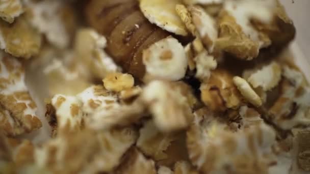 燕麦片中爬行的肉线虫宏观调控 — 图库视频影像