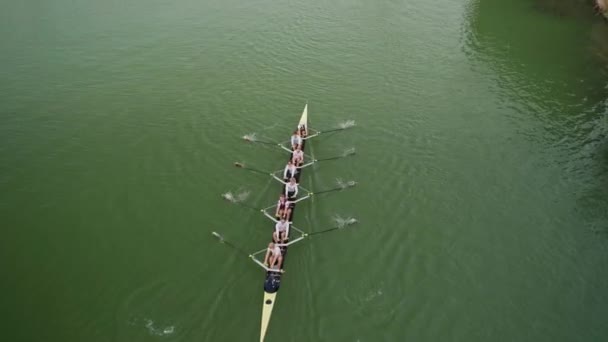 Seville Spain February 2024 Canoe Rowing Teams Guadalquivir River Camera — Stock Video