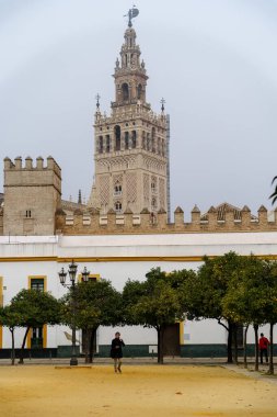 Sevilla, İspanya. 7 Şubat 2024 - Seville Katedrali ve Giralda Kulesi Patio de Banderas Plaza 'dan izlendi