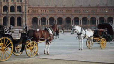 Sevilla, İspanya. 5 Şubat 2024 - Atlar ve arabalar Plaza de Espana 'da.