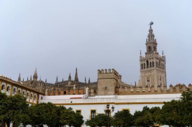 Sevilla Katedrali Patio de Banderas Plaza 'dan izlendi