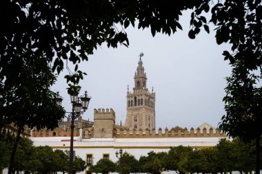 Sevilla Katedrali Çan Kulesi Patio de Banderas Plaza 'dan izleniyor