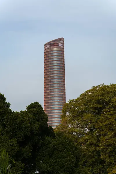 stock image Seville, Spain. February 5, 2024 - Sevilla Tower, the skyscraper with trees in the foreground