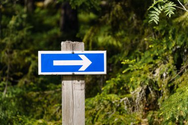 Ormanı işaret eden mavi bir işaret.
