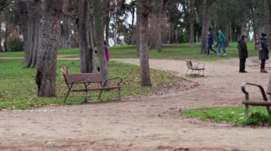 Madrid, İspanya. 12 Şubat 2024 - El Retiro Parkı 'nda köpekleriyle oynayan insanlar
