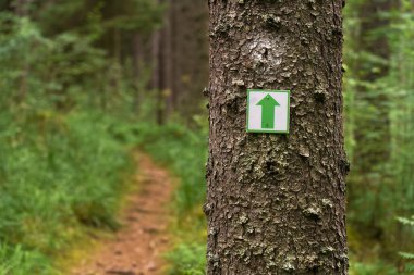 Sign marking the hiking trail direction in a lush forest during daytime clipart