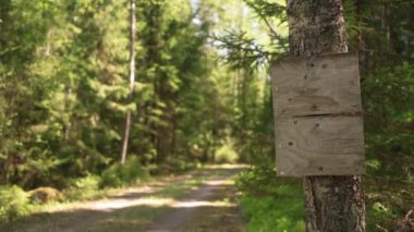 Finlandiya 'da bir orman yolunun yanındaki tahta boş tabela
