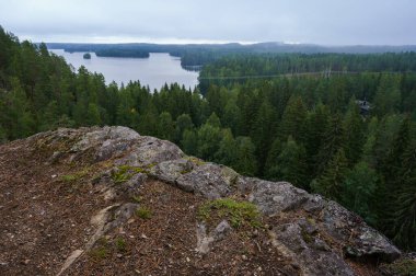 Finlandiya 'nın Heinola kentinde sık ormanlarla çevrili sakin bir göl manzarası